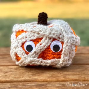 Mummy costume pumpkin
