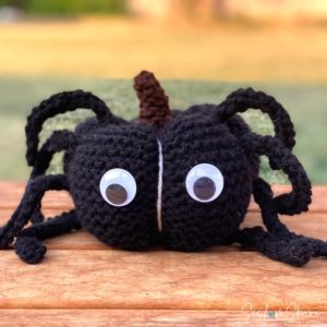 Spider costume pumpkin